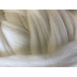 Australsk merino