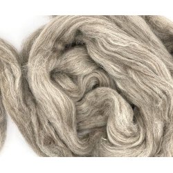 Blue Faced Leicester